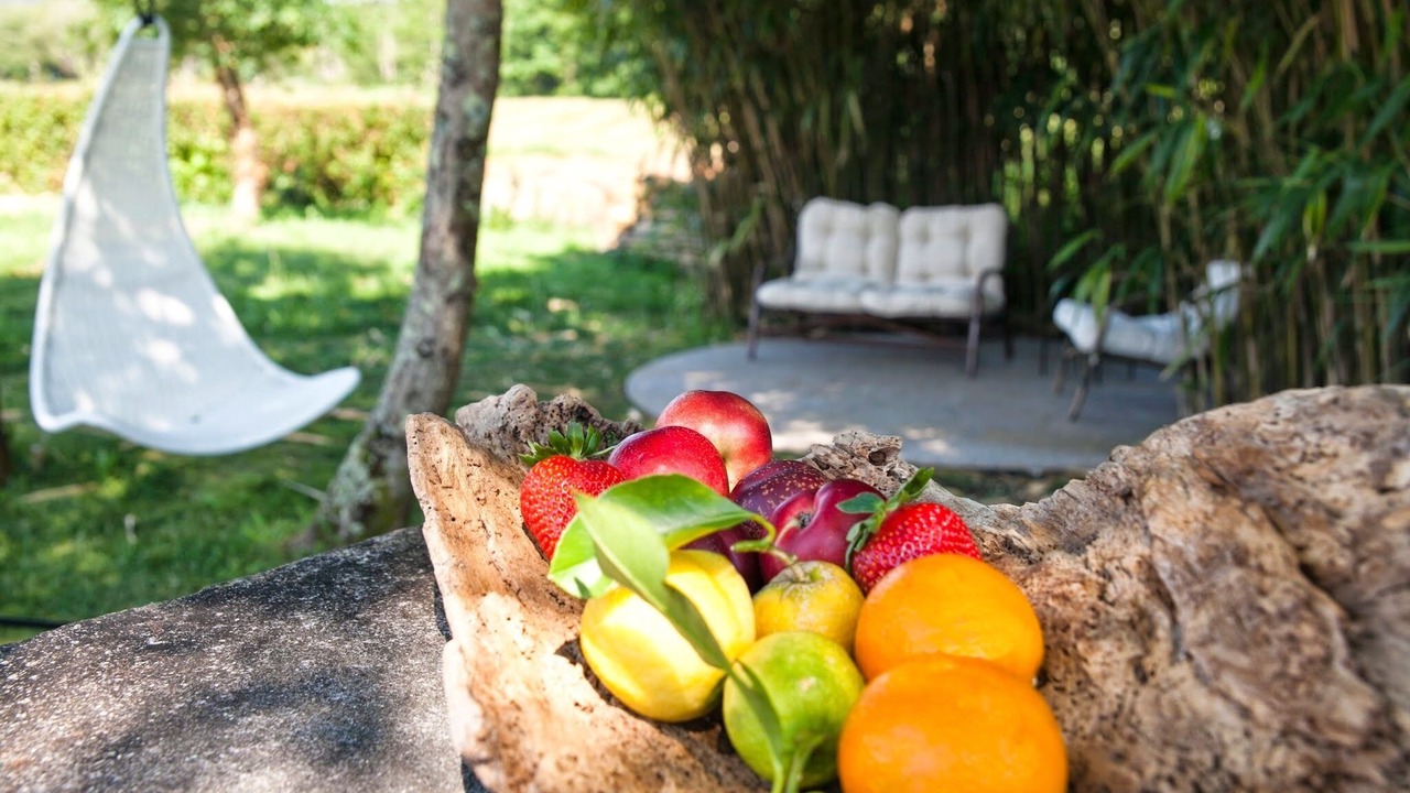 Photo of Outdoor in Padron