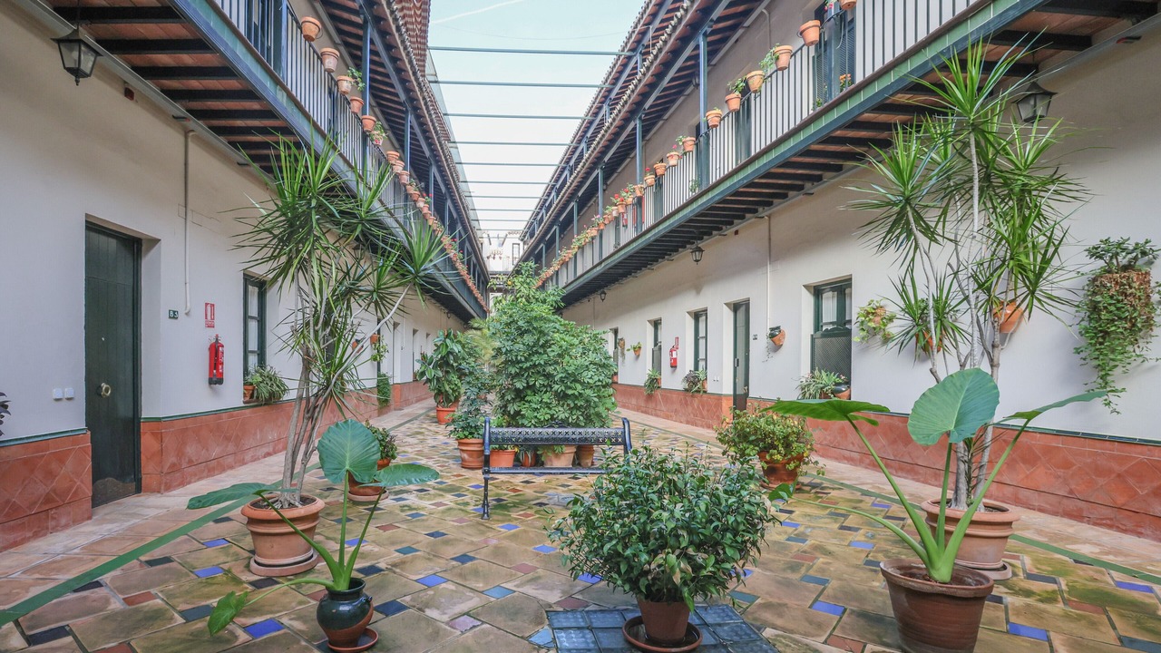 Photo of Outdoor in Alameda