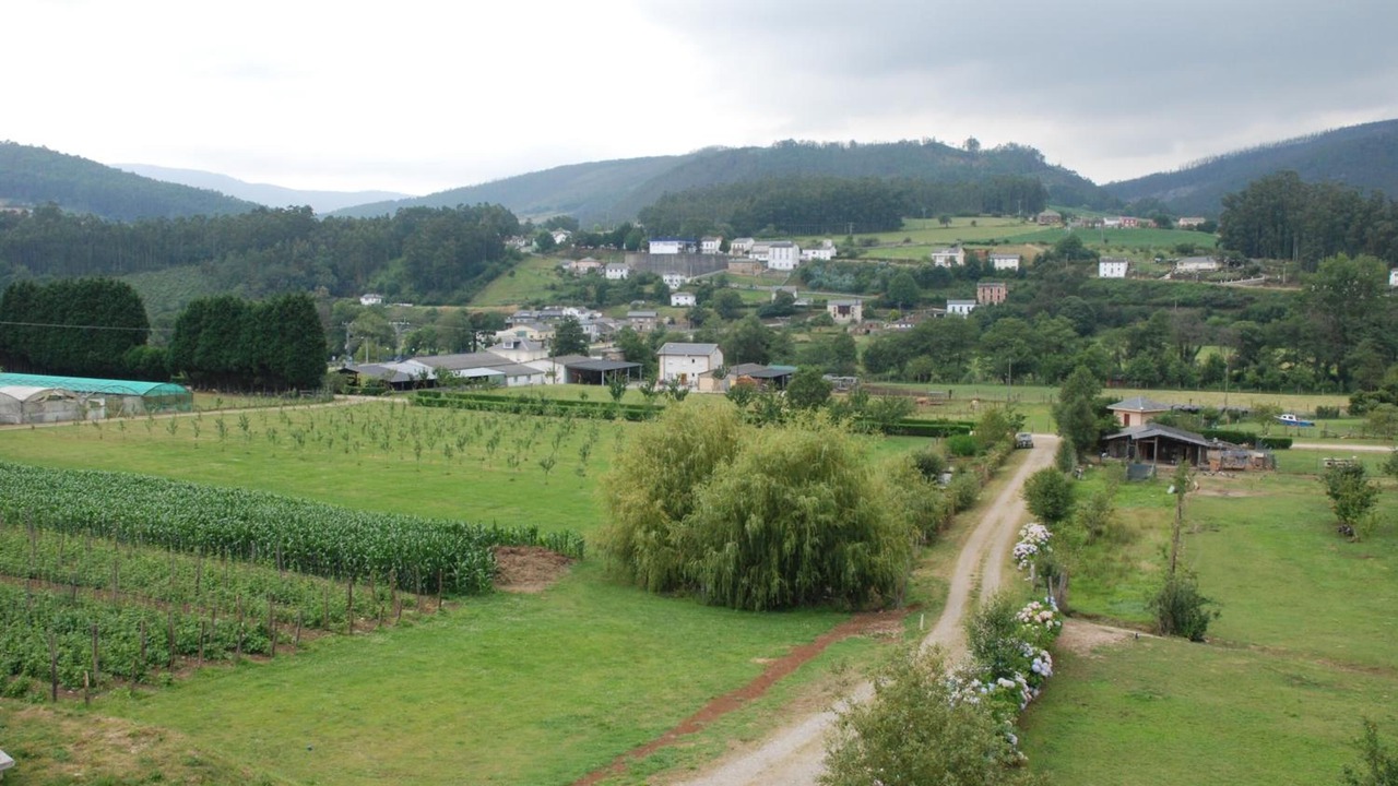 Photo of Outdoor in San Tirso de Abres