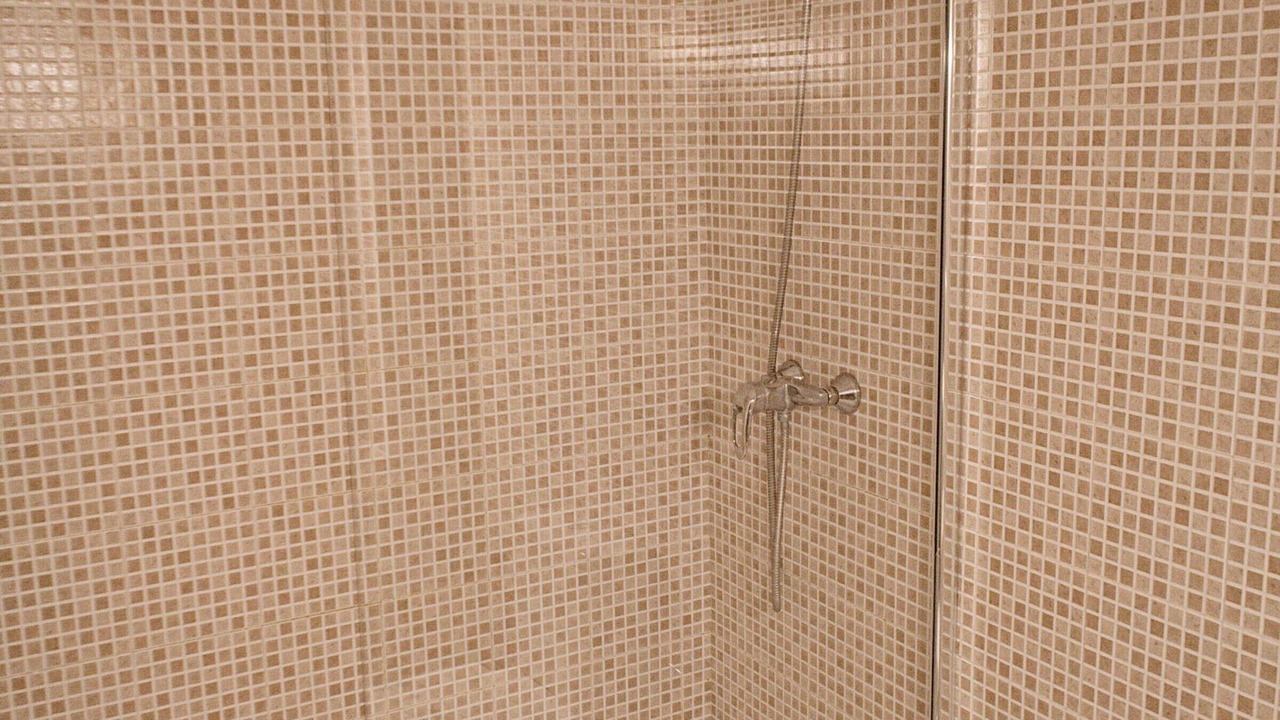 Photo of Bathroom in Calafat