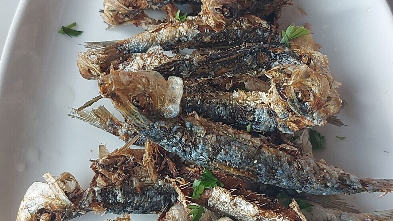 Photo of Others in Tacoronte