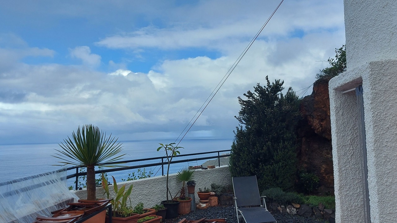 Photo of Outdoor in Tacoronte