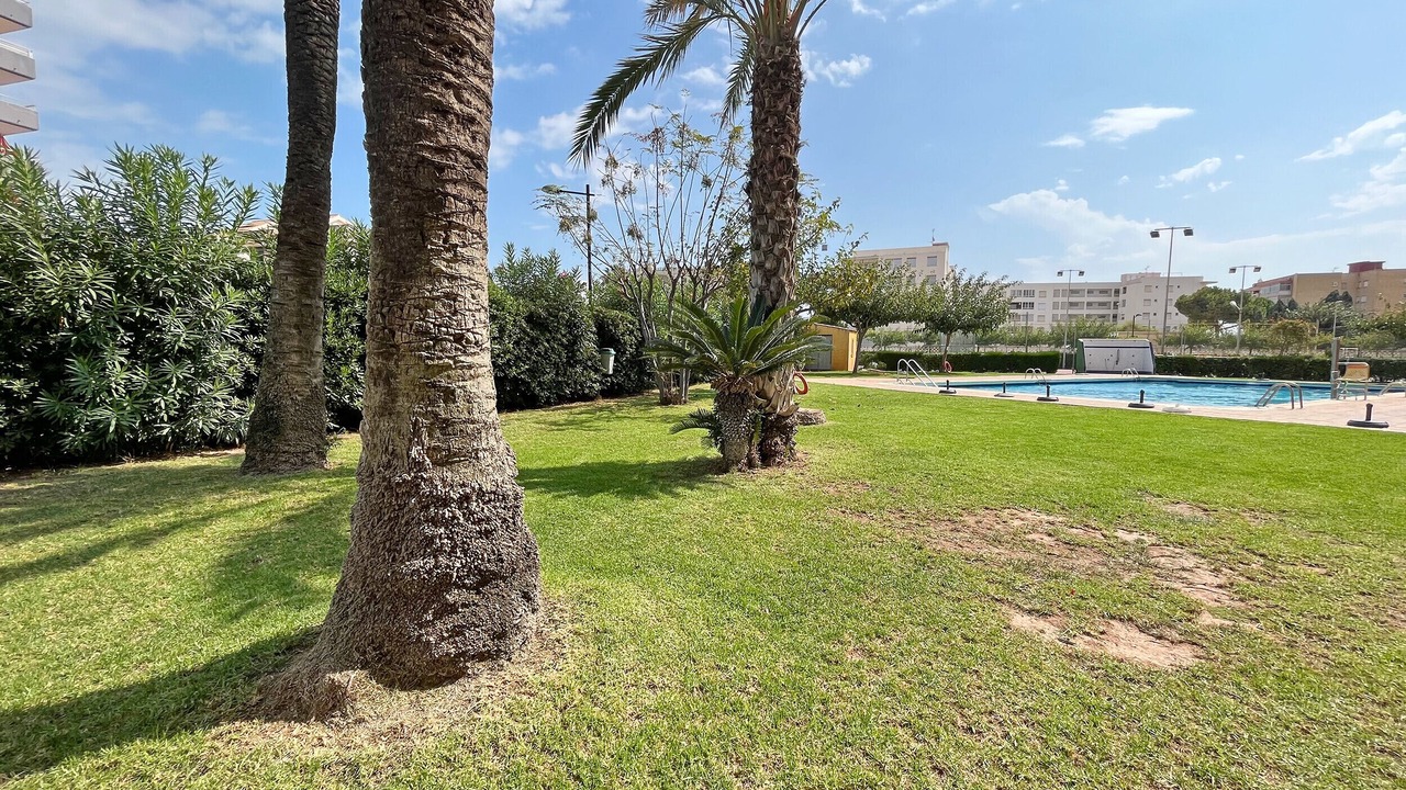 Photo of Outdoor in Canet de Berenguer