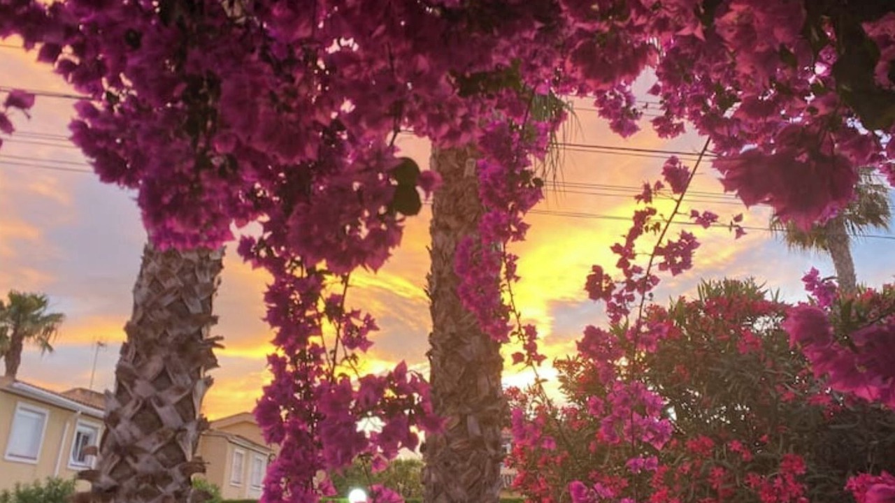 Photo of Outdoor in Lo Rufete