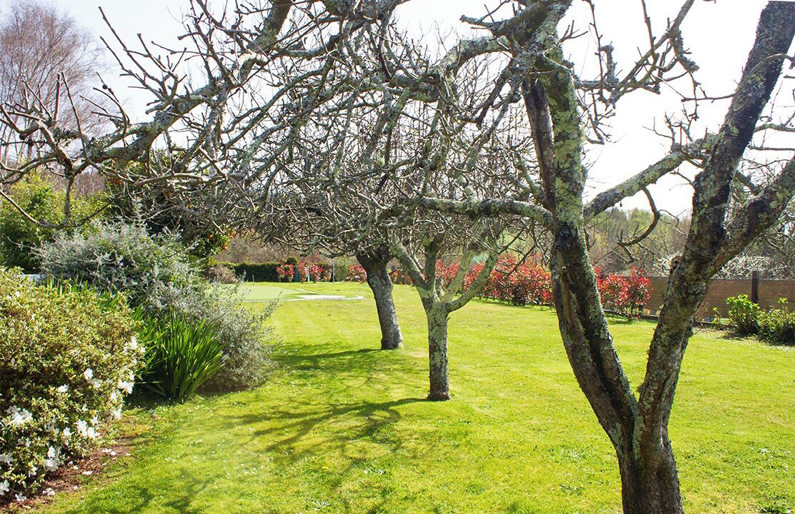 Photo of Outdoor in Teo