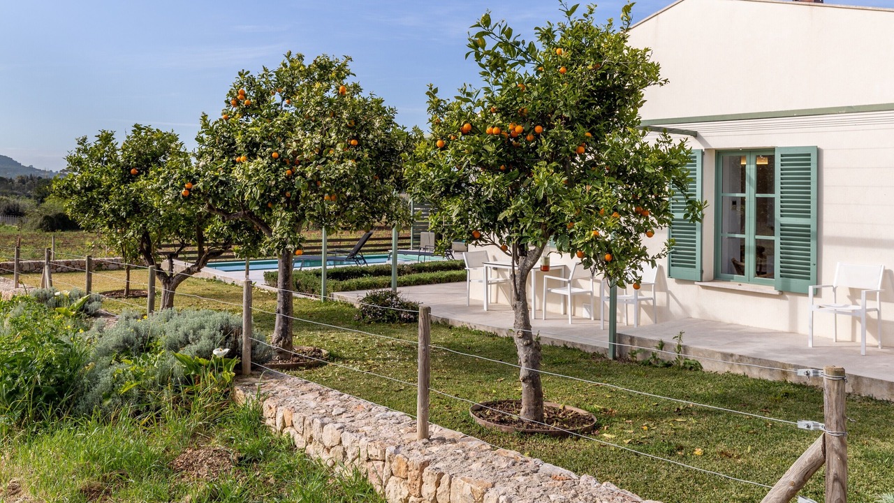 Photo of Outdoor in Moscari