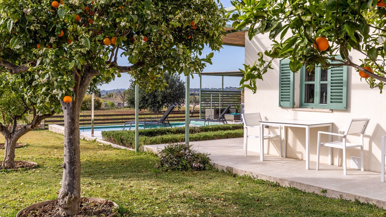 Photo of Outdoor in Moscari
