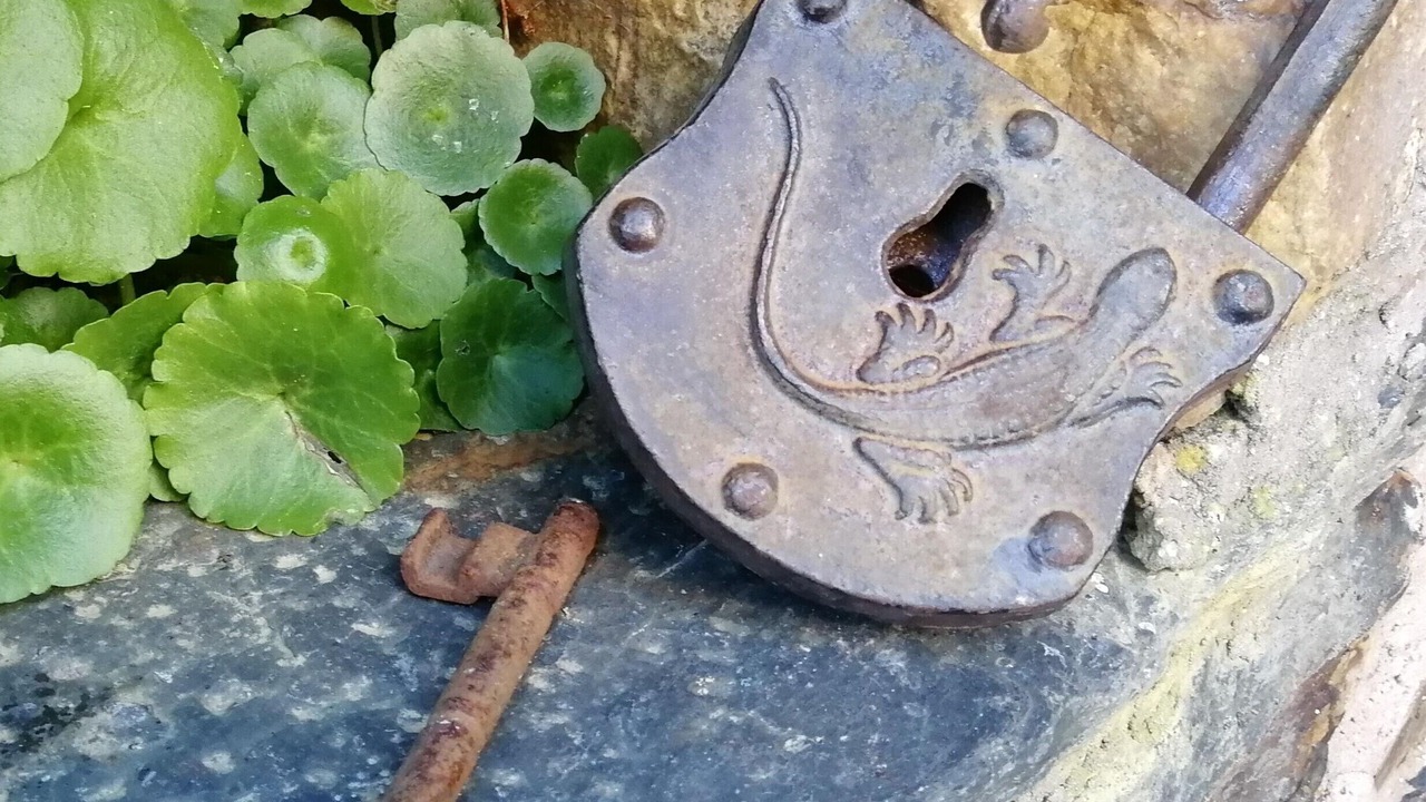 Photo of Outdoor in Grandas de Salime