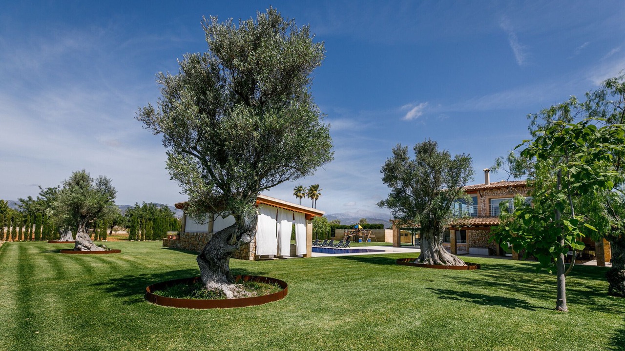 Photo of Outdoor in Binissalem