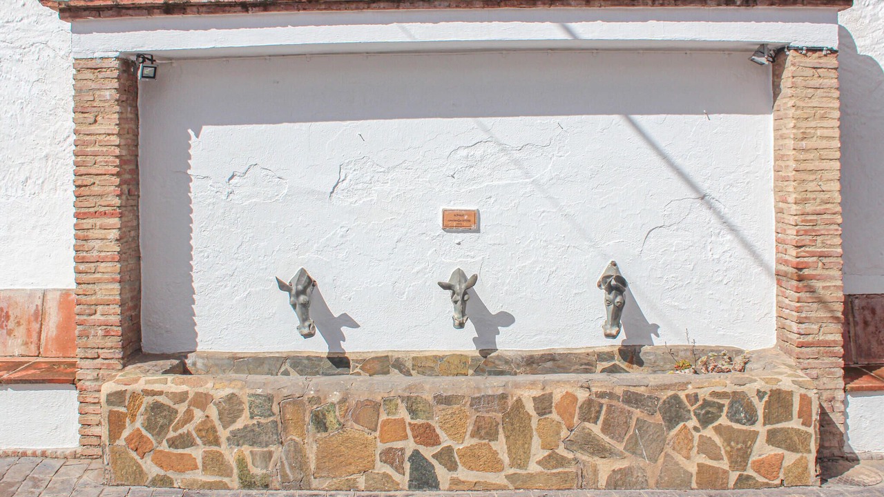 Photo of Others in Genalguacil