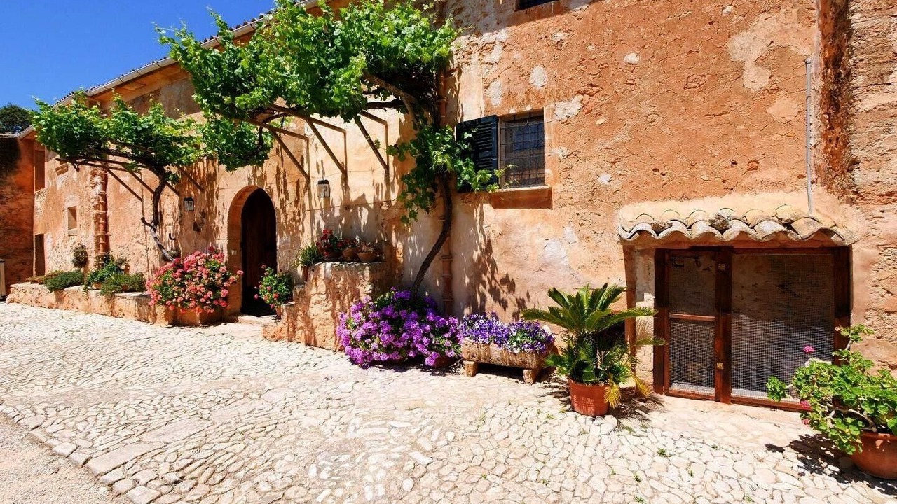 Photo of Outdoor in Son Antem