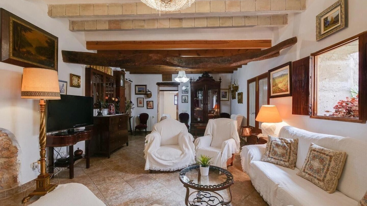 Photo of Livingroom in Son Antem