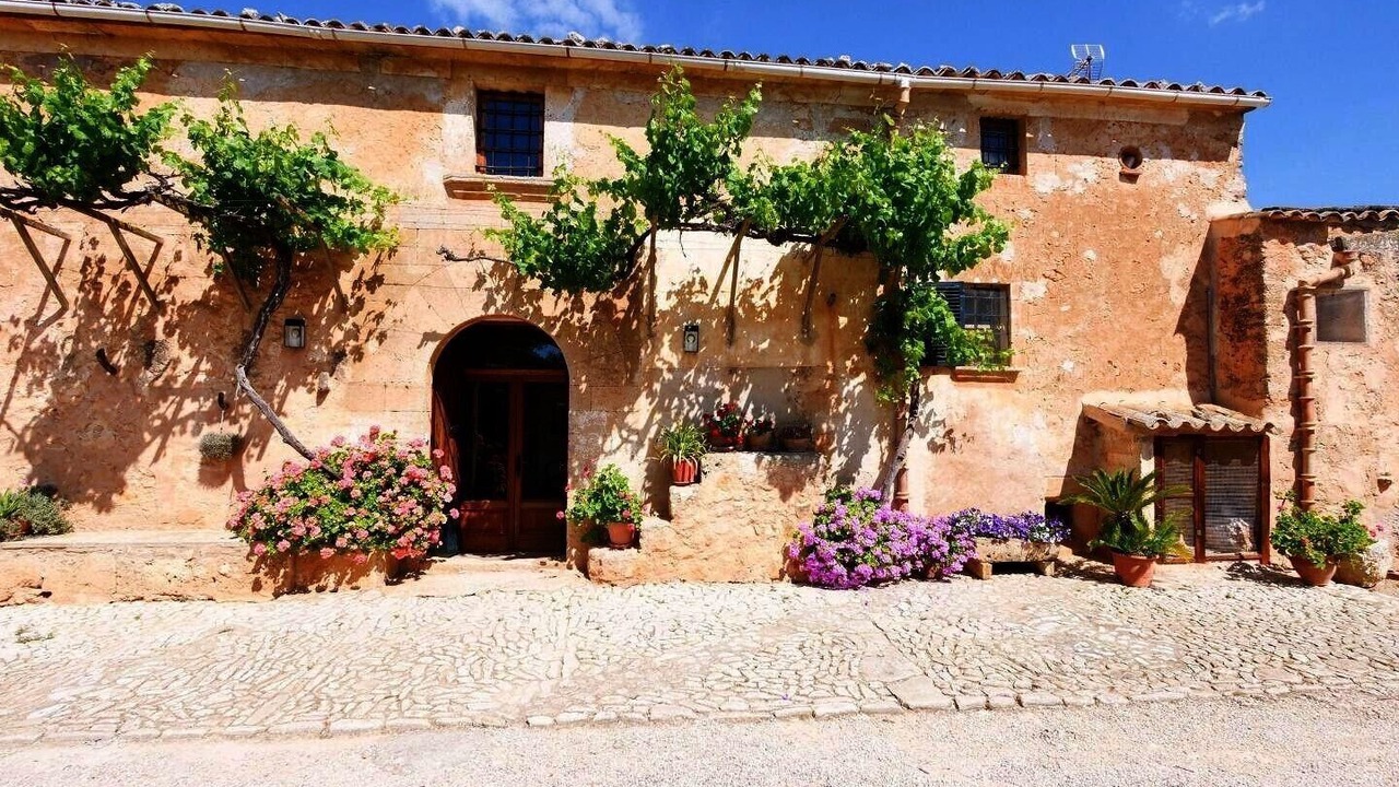 Photo of Outdoor in Son Antem
