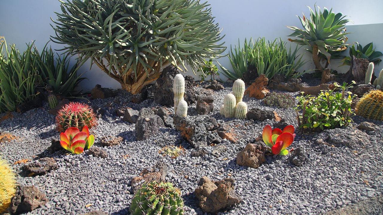 Photo of Outdoor in Puerto del Carmen