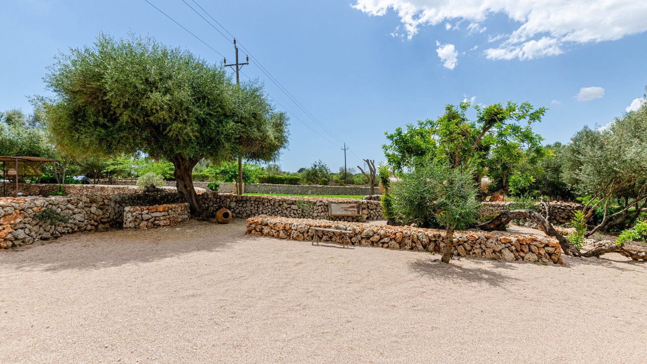 Photo of Outdoor in Costitx