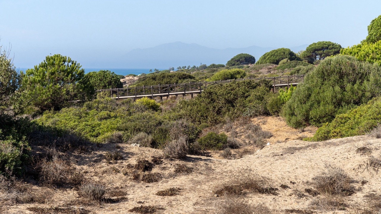 Photo of Others in Cabopino