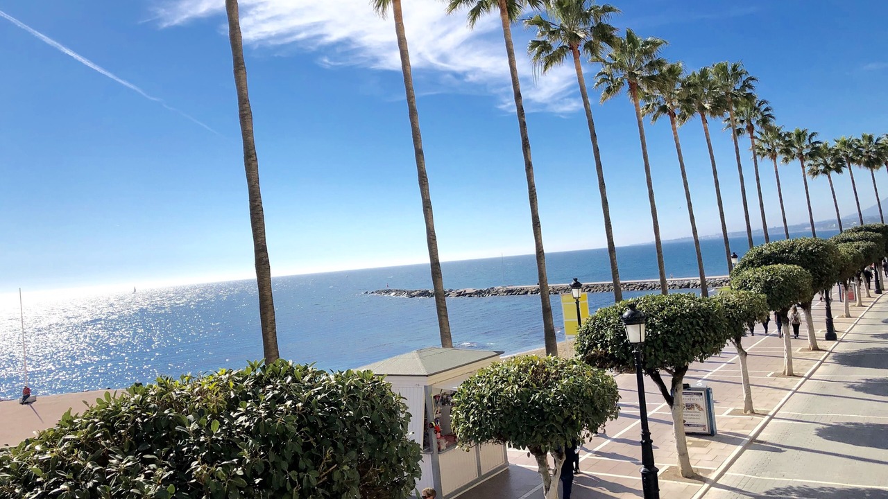 Photo of Others in Marbella Seafront Promenade