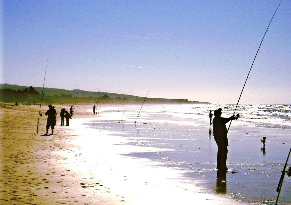 Photo of Others in Bolonia