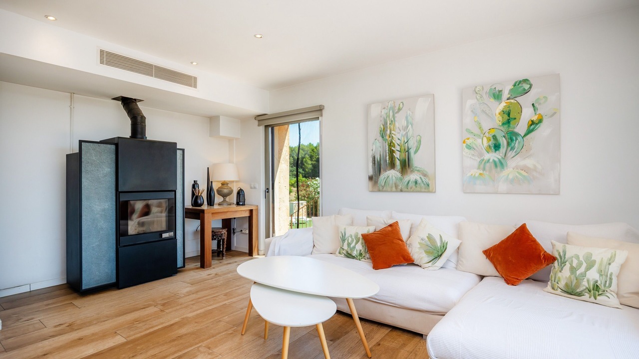 Photo of Livingroom in Son Antem