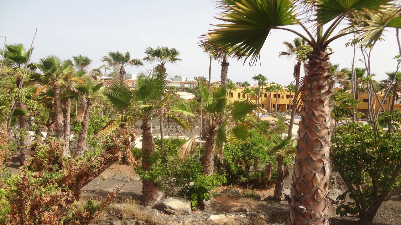 Photo of Outdoor in Corralejo