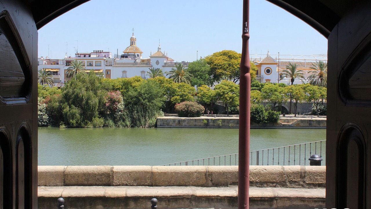Photo of Others in Triana