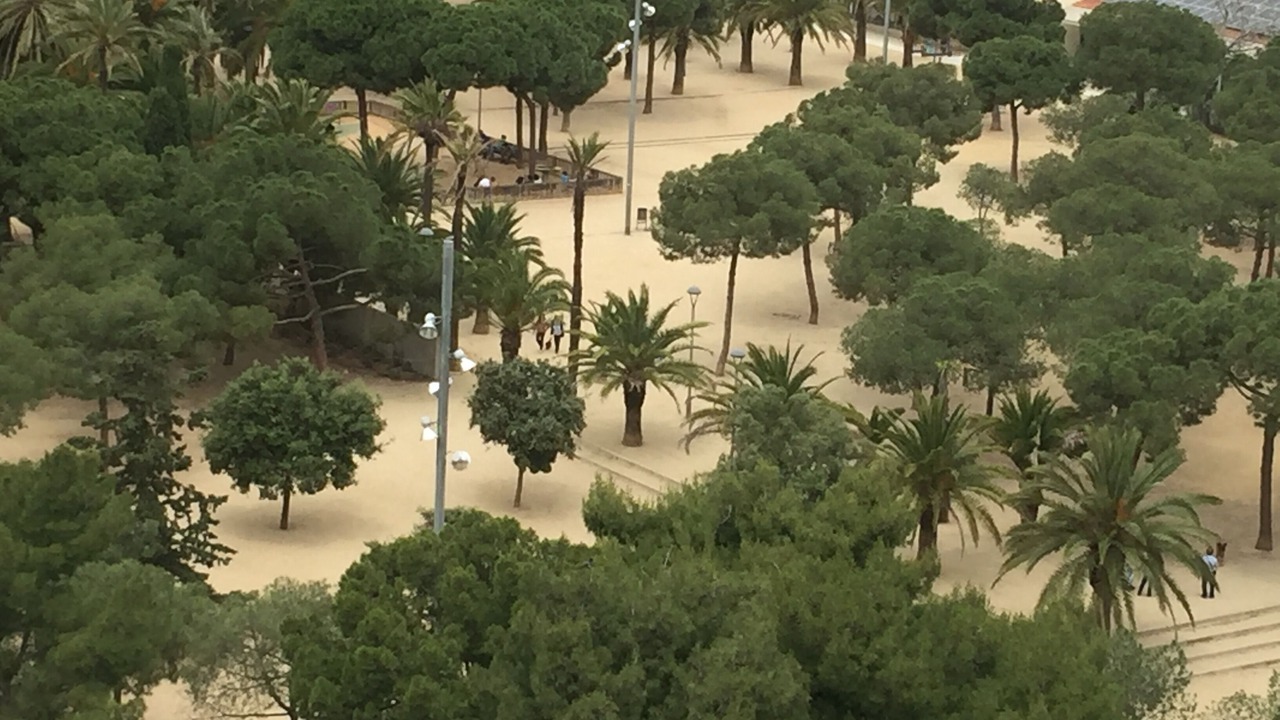 Photo of Outdoor in Sant Antoni