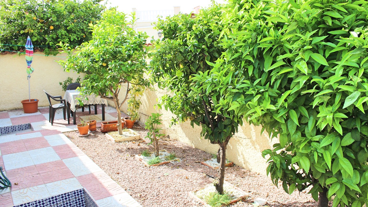 Photo of Outdoor in San Fulgencio