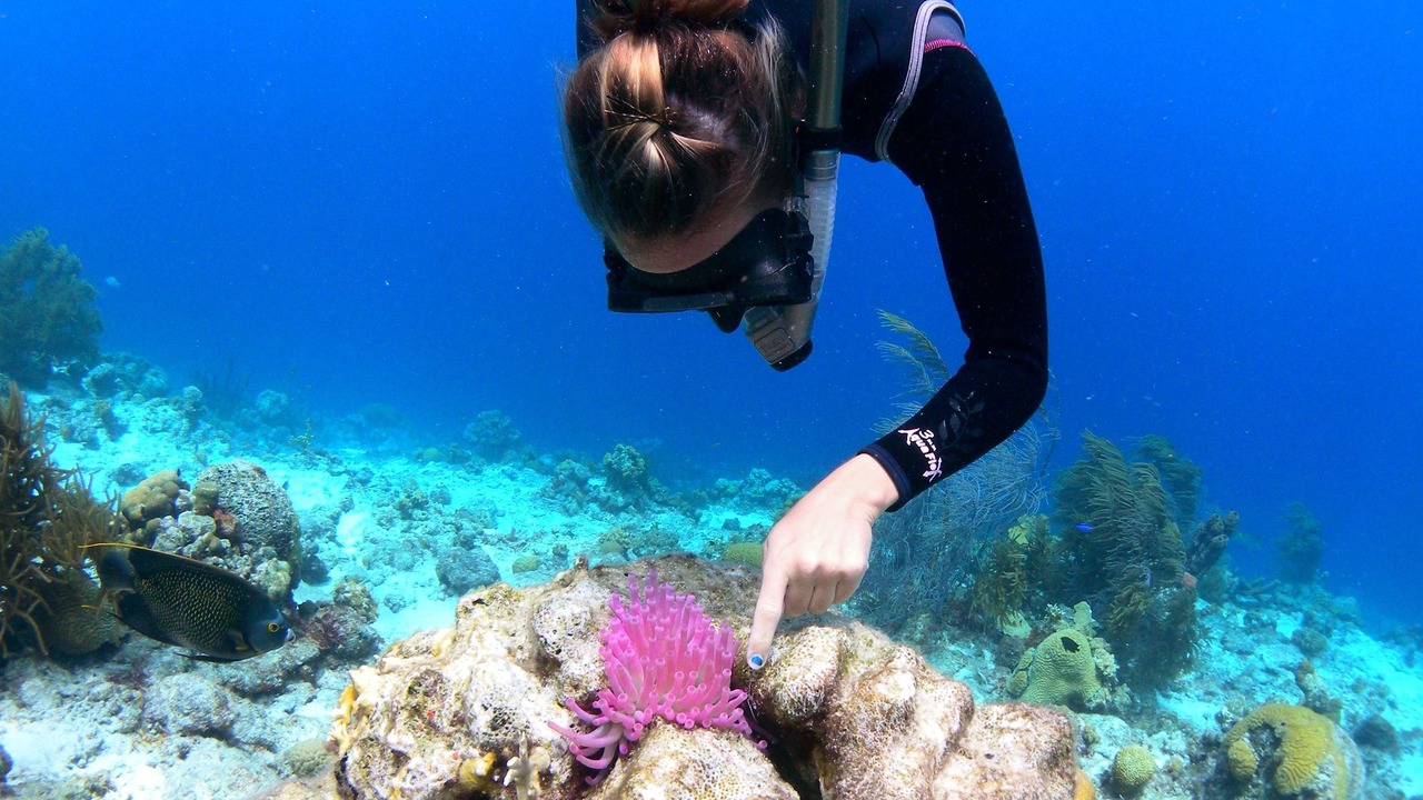 Photo of Others in Playa Blanca