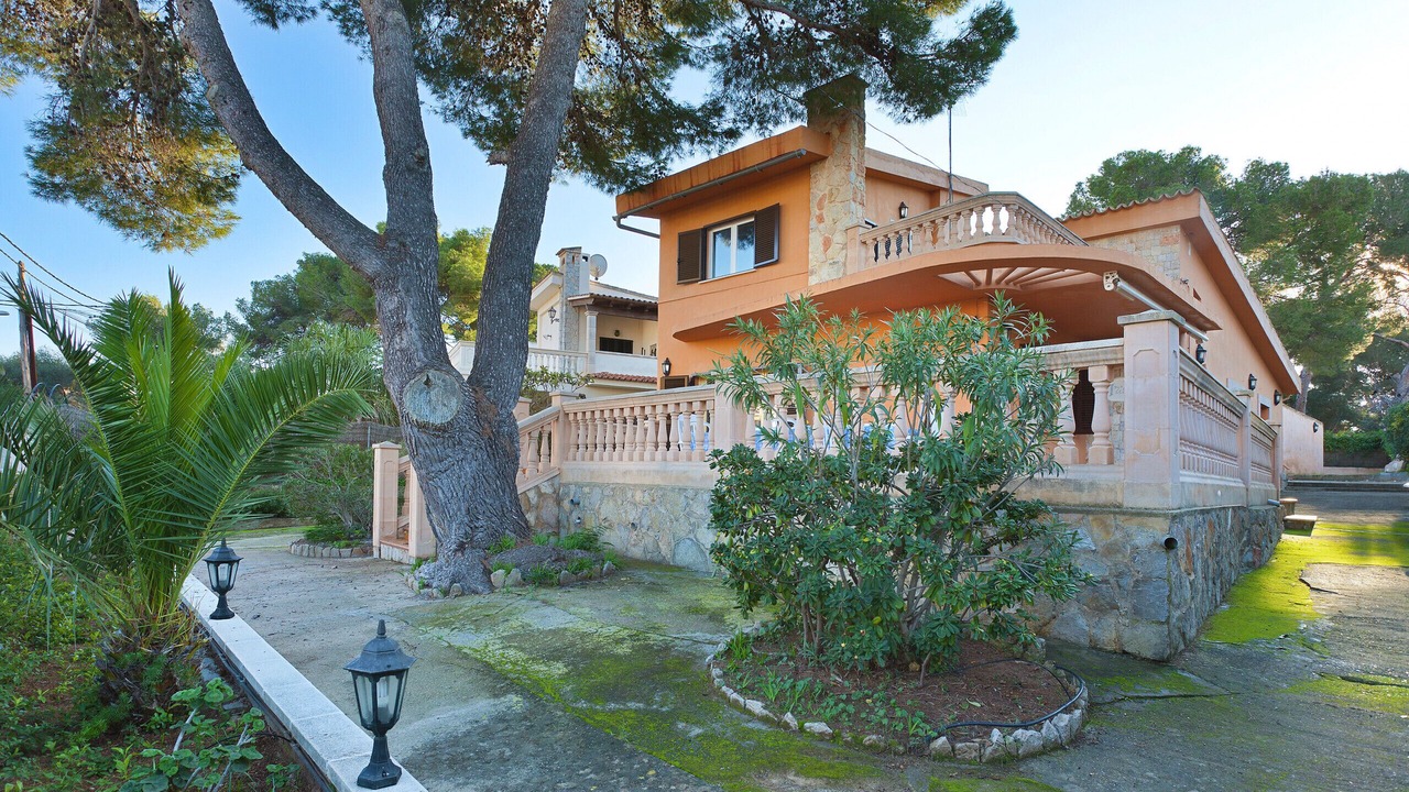 Photo of Outdoor in El Arenal