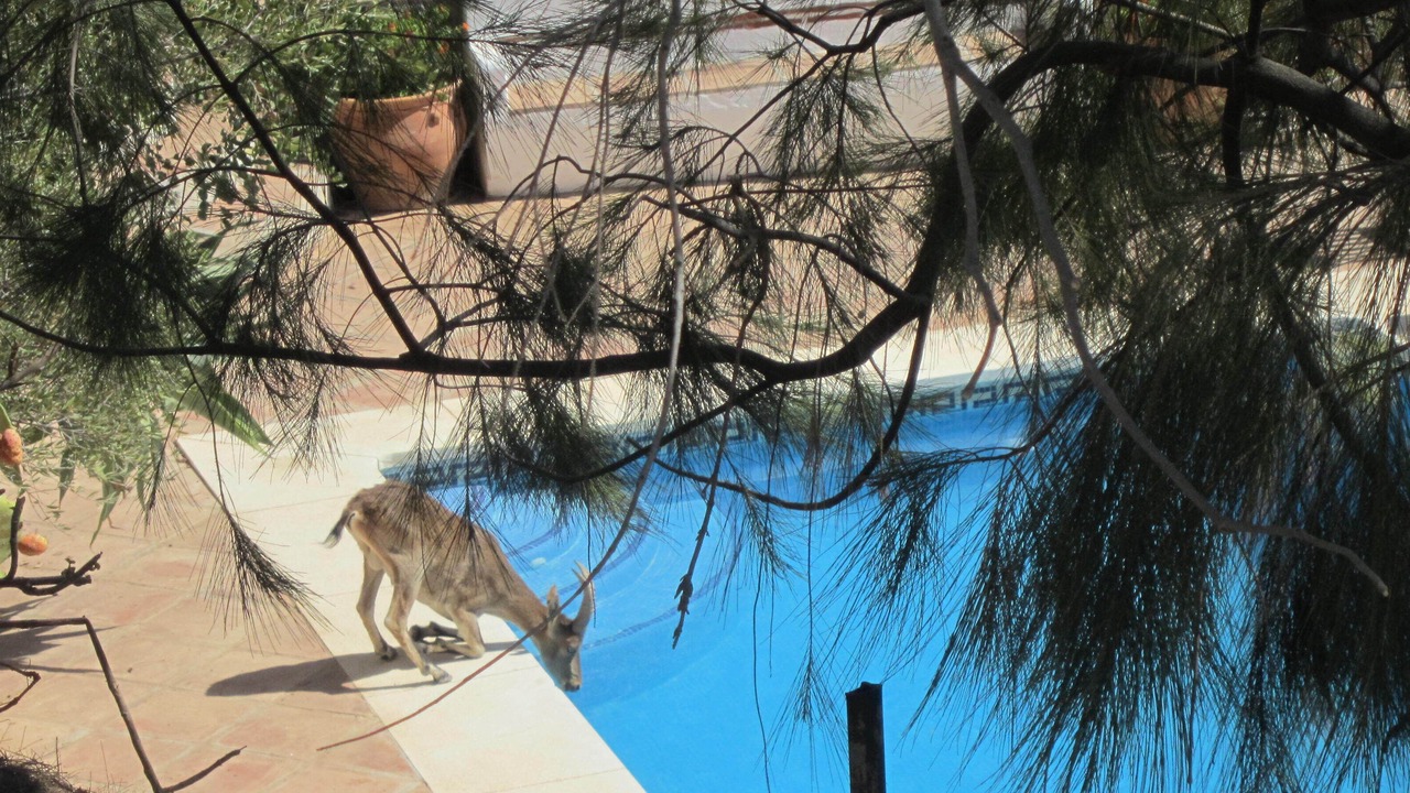 Photo of Others in Alora