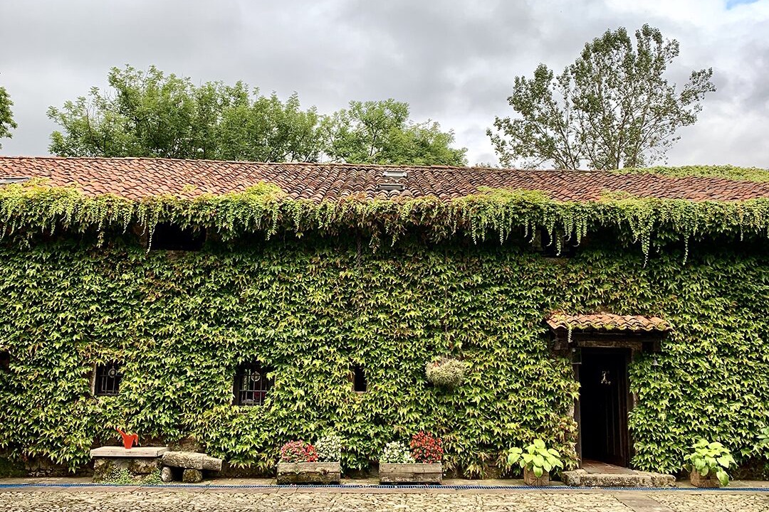 Photo of Outdoor in Valle de Cabuerniga