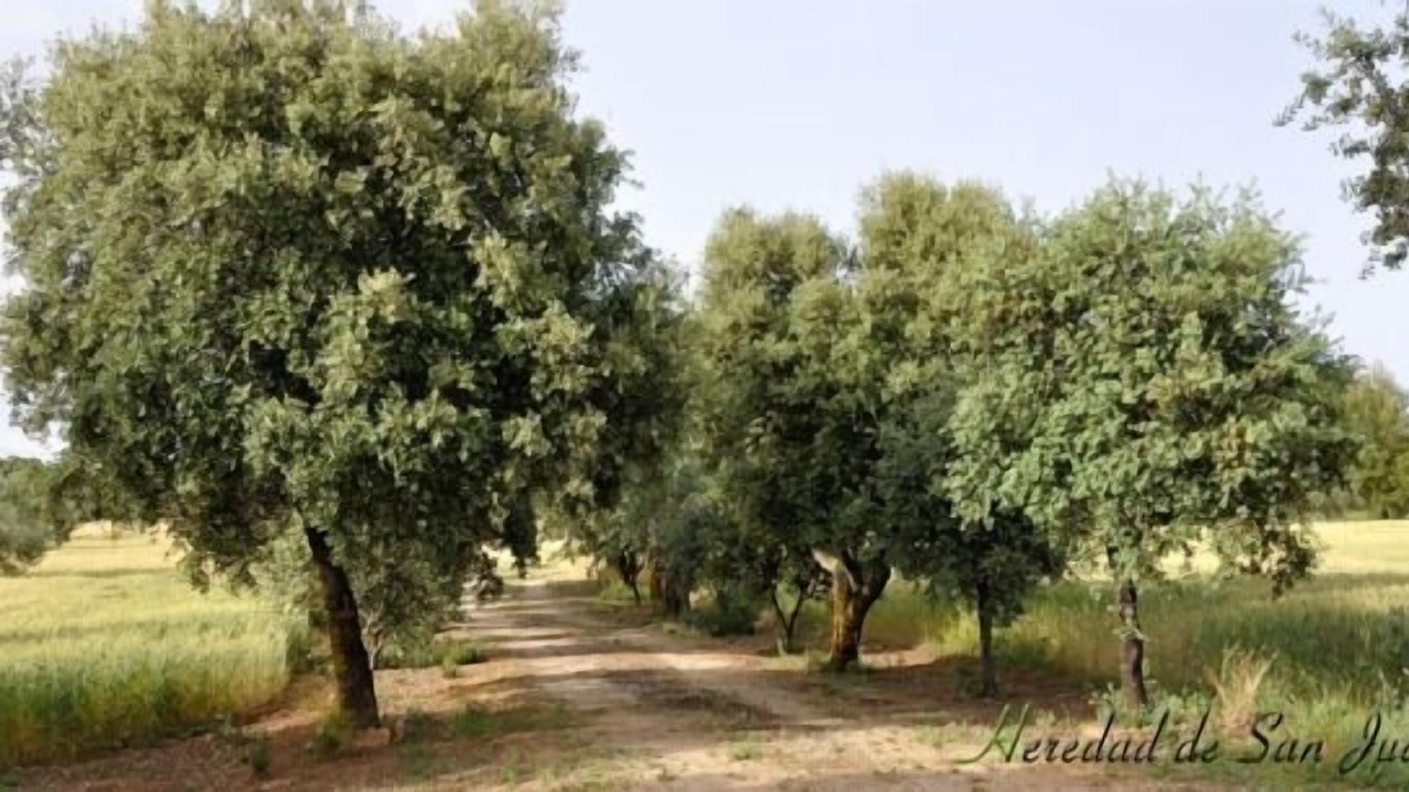 Photo of Outdoor in Ronda
