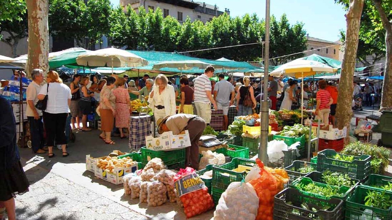 Photo of Others in Puerto de Pollensa