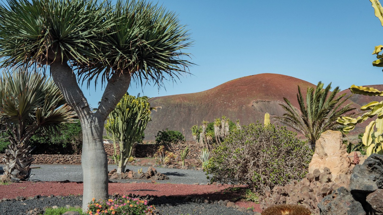 Photo of Outdoor in Lajares