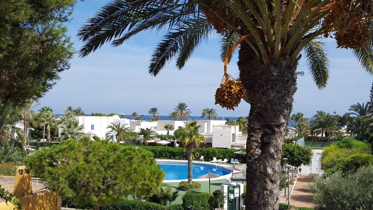 Photo of Outdoor in Puerto Rey