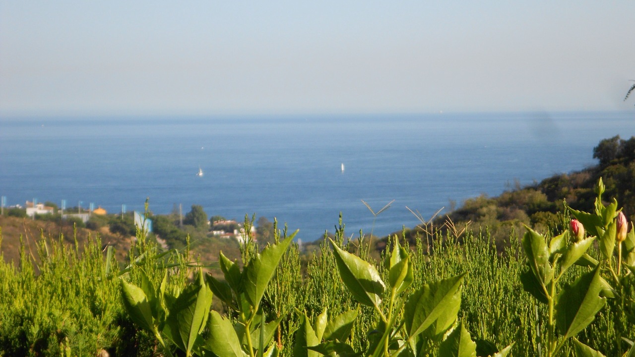 Photo of Others in Manilva