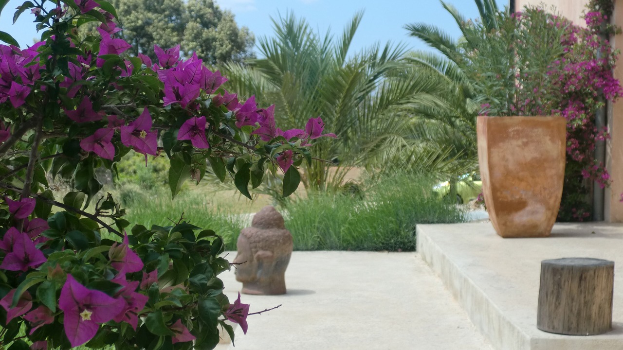 Photo of Outdoor in Algaida