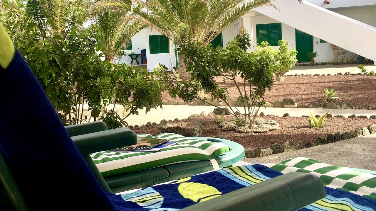 Photo of Outdoor in Los Lagos