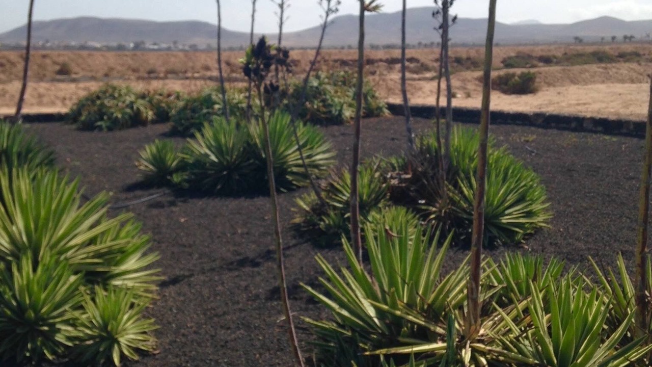 Photo of Outdoor in Los Lagos