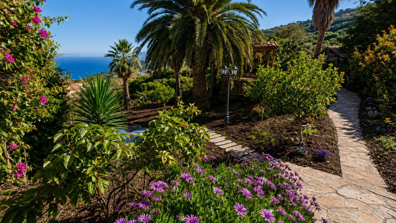 Photo of Outdoor in Sauzal