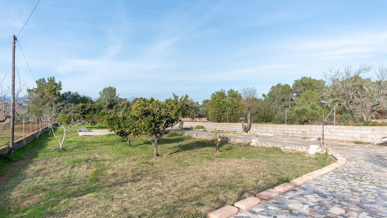 Photo of Outdoor in Algaida