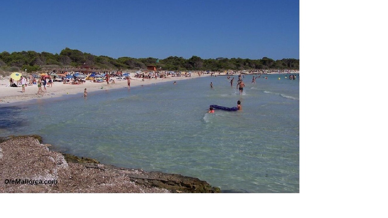 Photo of Others in Colonia Sant Jordi