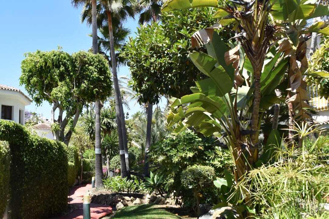 Photo of Outdoor in Marbella