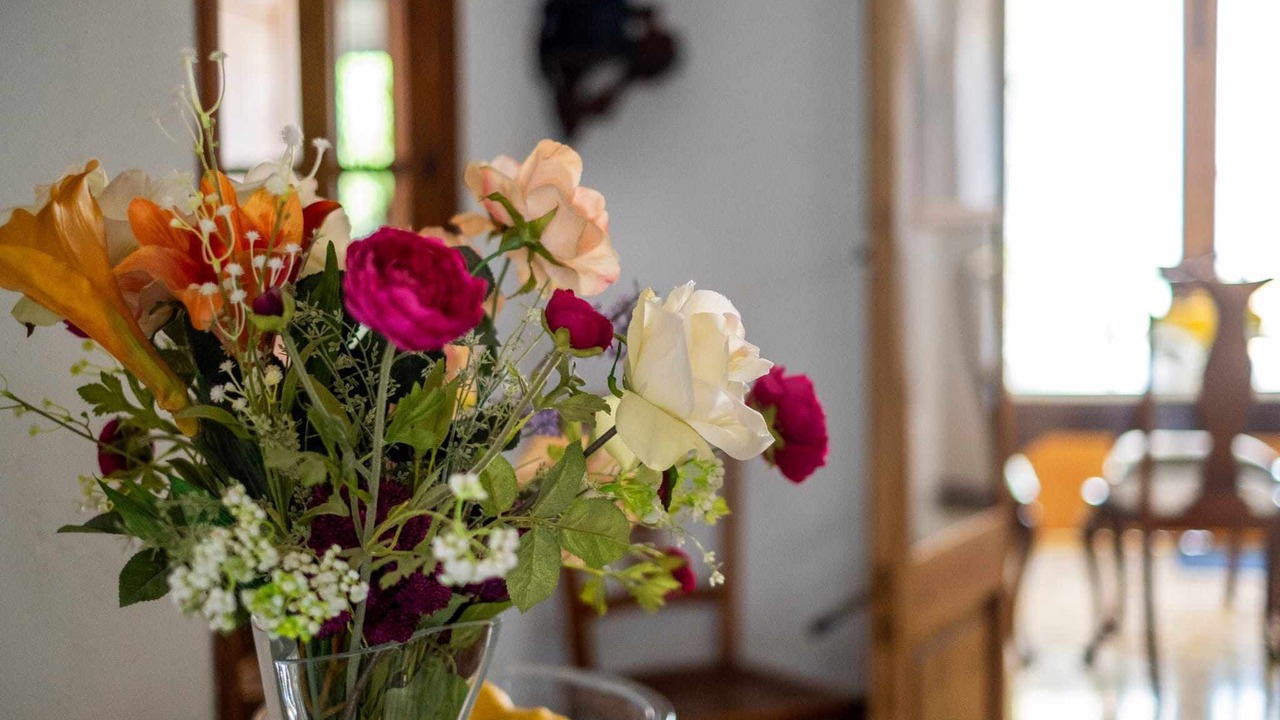 Photo of Others in Sineu