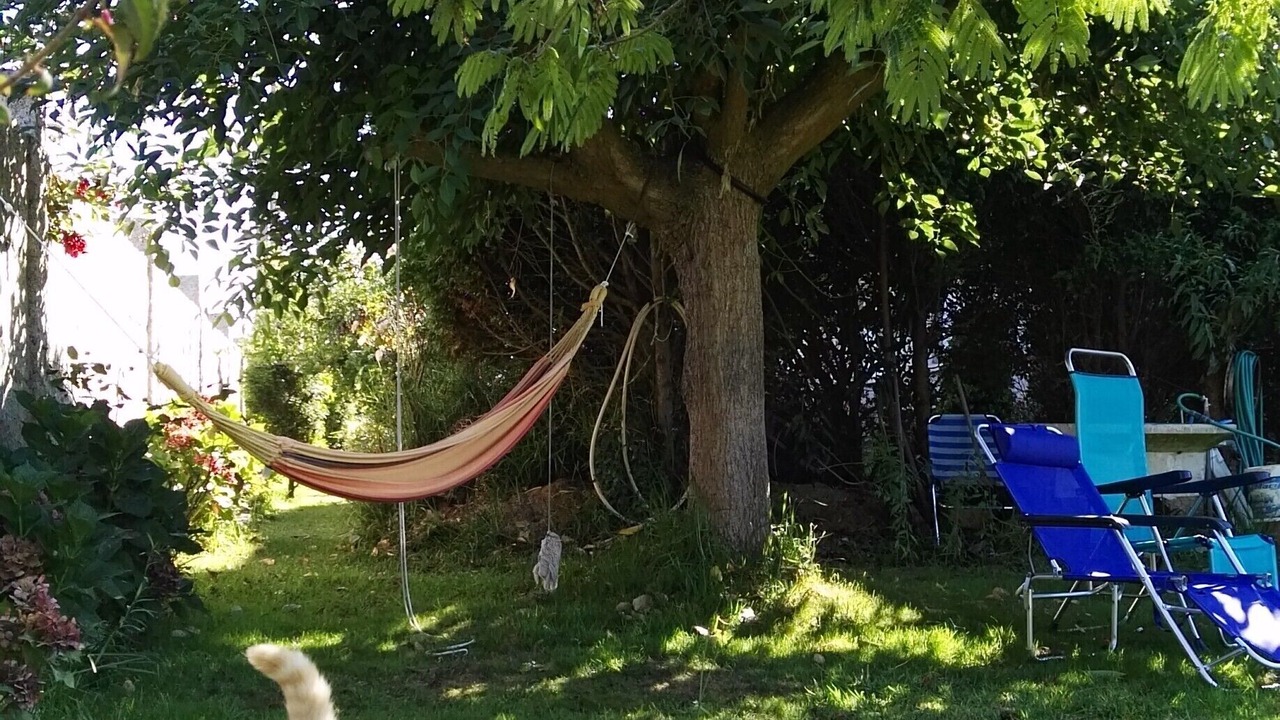 Photo of Outdoor in A Lanzada