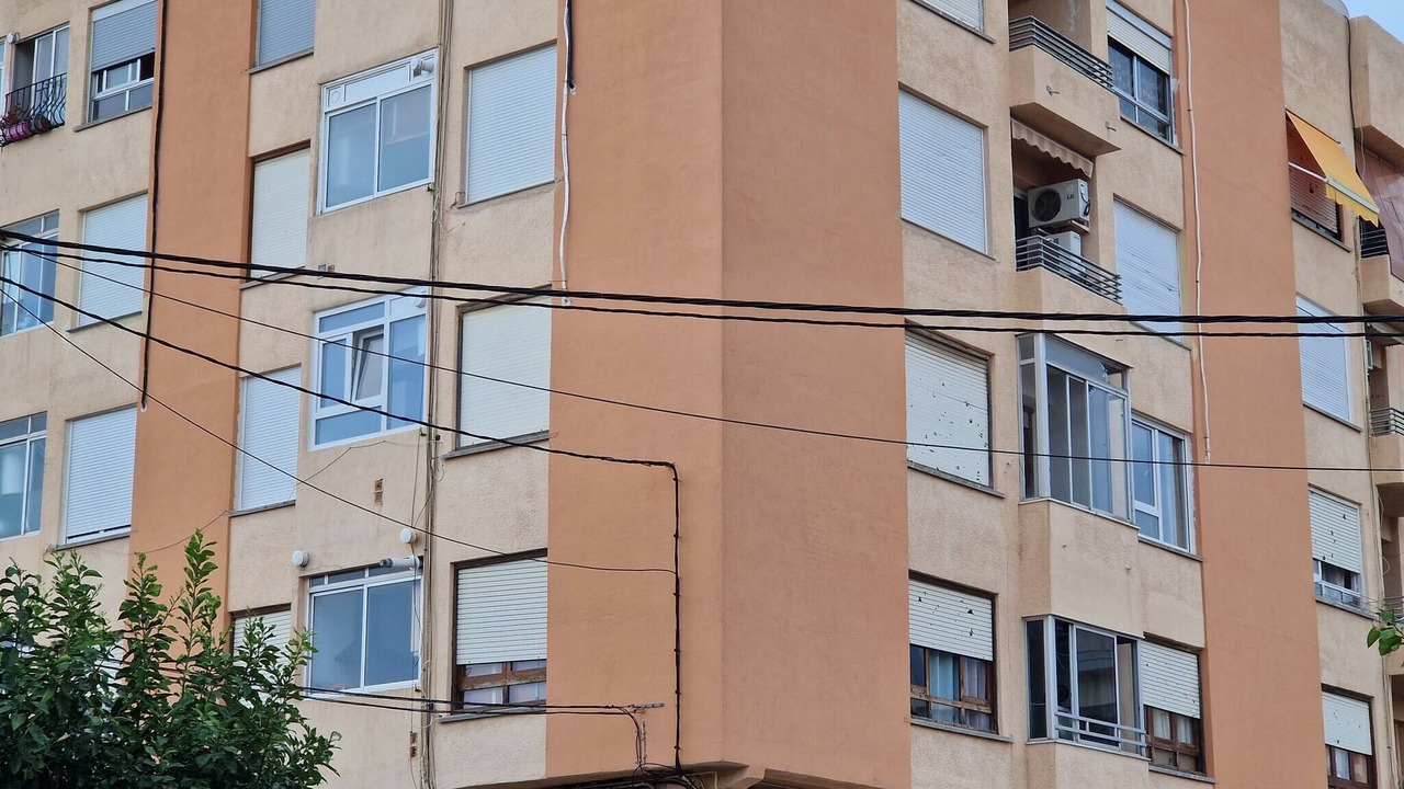 Photo of Outdoor in Nules
