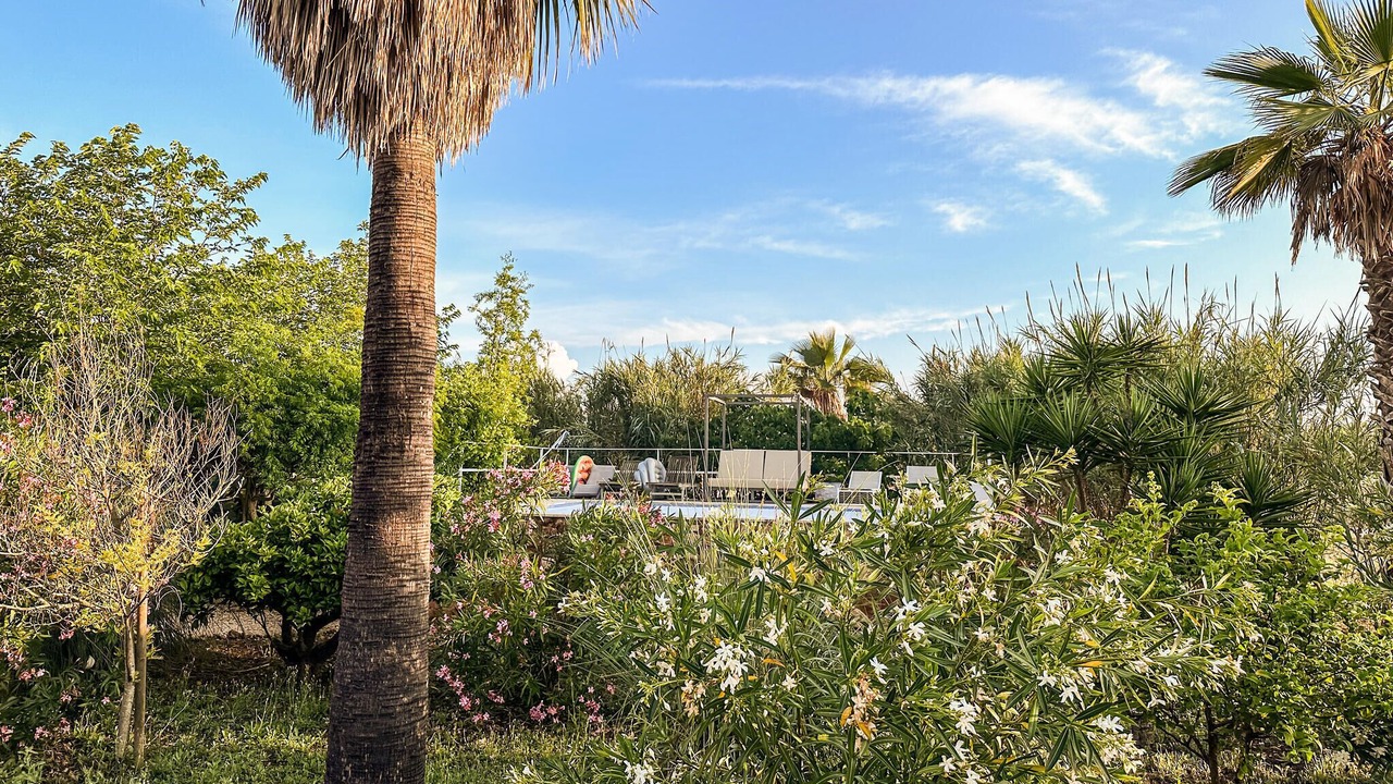 Photo of Outdoor in Algaida