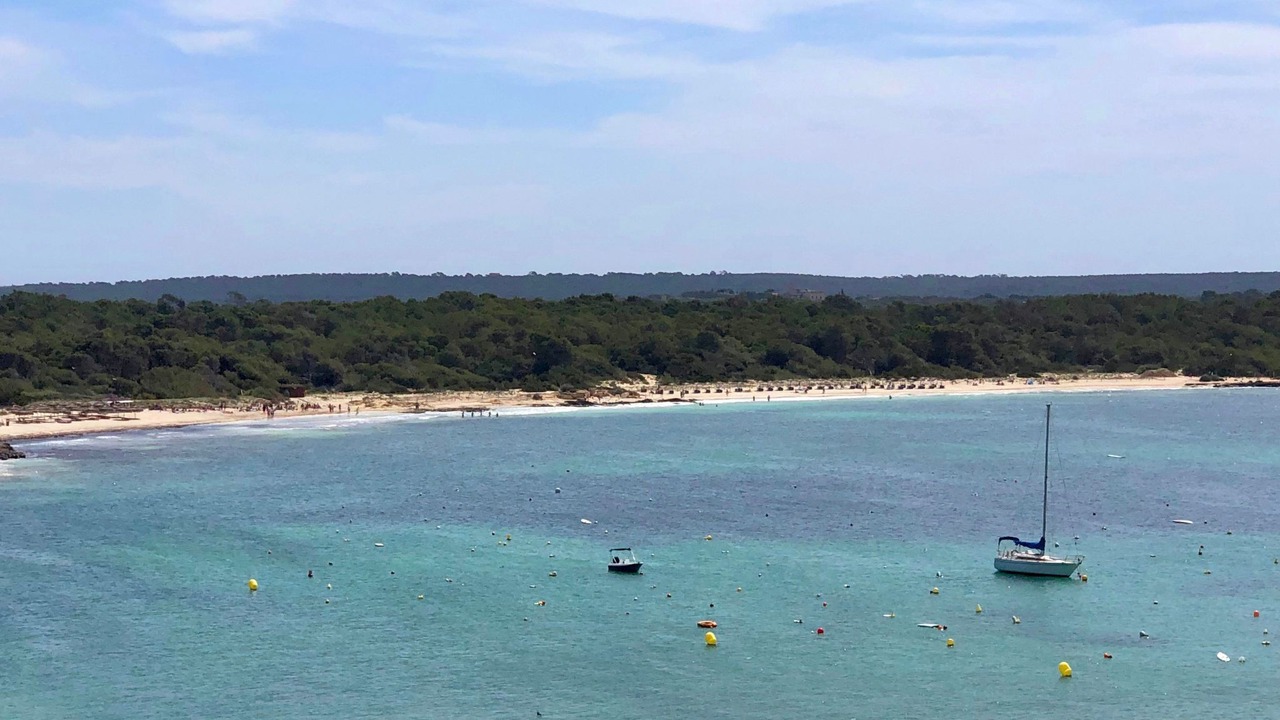 Photo of Others in Colonia Sant Jordi