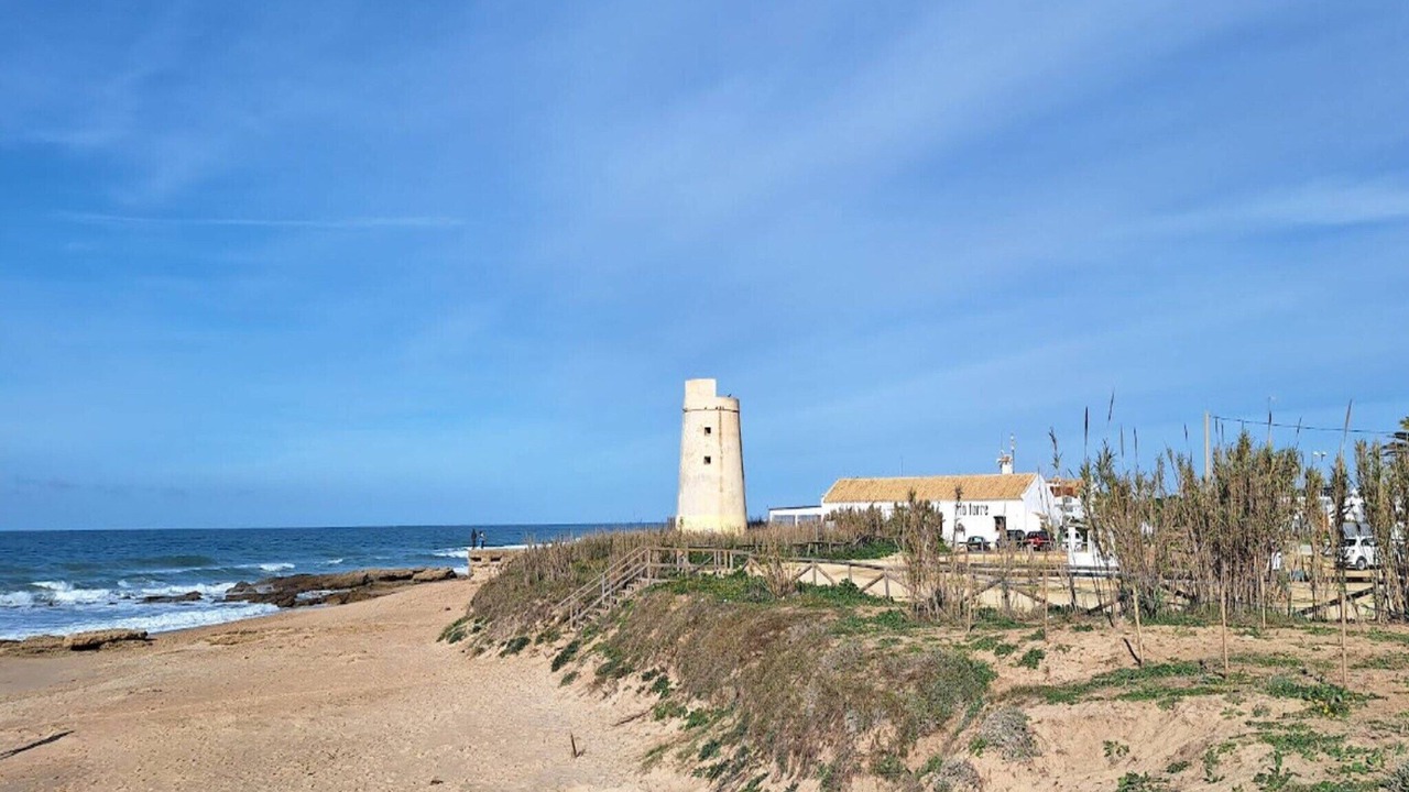 Photo of Others in El Palmar