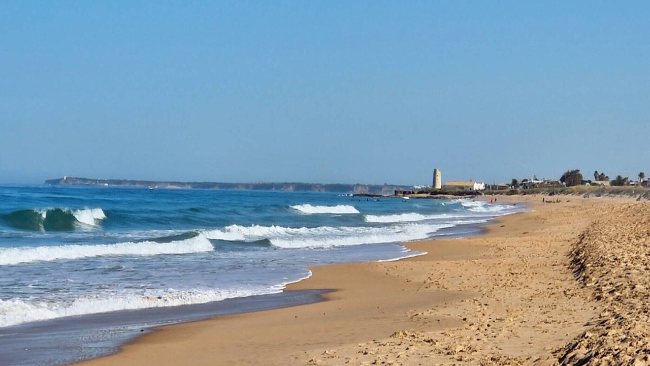 Photo of Others in El Palmar